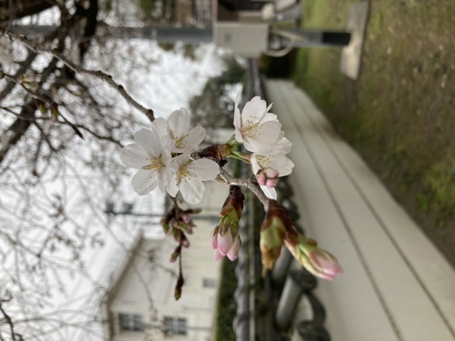 805078d3eb304539a6933e66e873412b