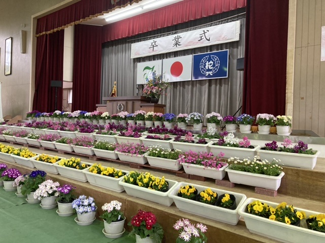 Ed43ac96cff14a08bb218db16687d972