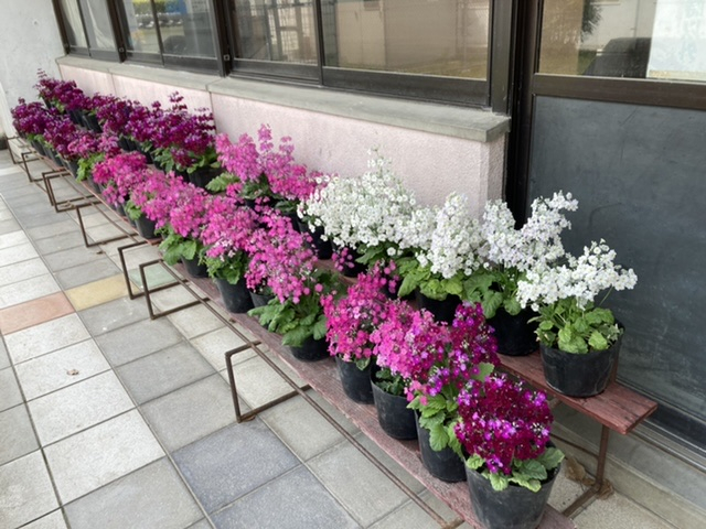 0630cfbcf6894541a31a7da0ad31144c