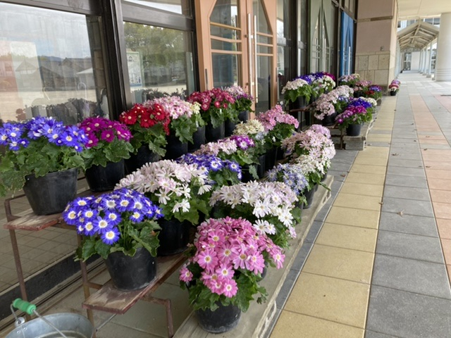 6b14928d2ec84866925e508445e2e57a