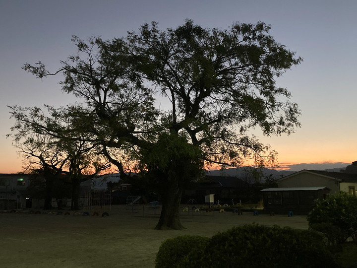 Ca8ac99fa6b2464490ad3b78885359f9