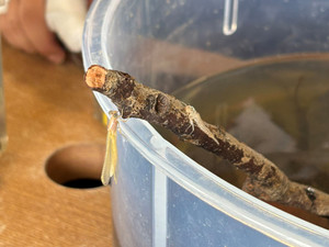 Img_1345 Img_1345