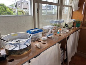Img_1392 Img_1392
