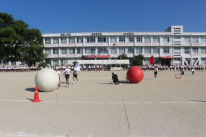 Img_7510