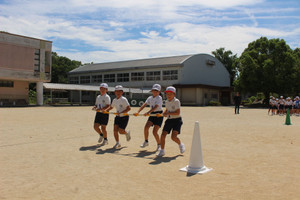 Img_4204 Img_4204