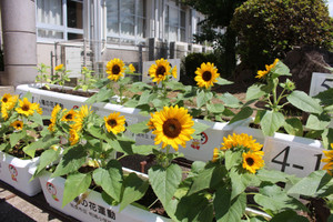 Img_4212 Img_4212