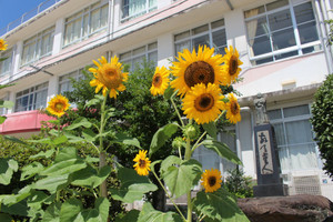 Img_4214 Img_4214