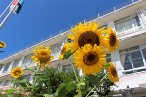 Img_4218 Img_4218